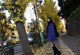 Marina Shiina - Daci Nxx Video P5 No.95e0e6